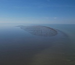 Мрачный прогноз в связи с недавним открытием на Каспии сделали астраханские ученые