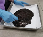 Астраханские эксперты проверили более 50 тонн чая из Ирана