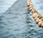 Астраханская полиция задержала двух мужчин, установивших сеть на территории природного парка