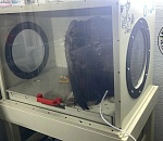 В Астраханской области спасают подстреленного краснокнижного хищника