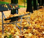 Какую погоду приготовил астраханцам ноябрь