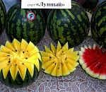 Астраханский «лунный» арбуз попал в список Forbes