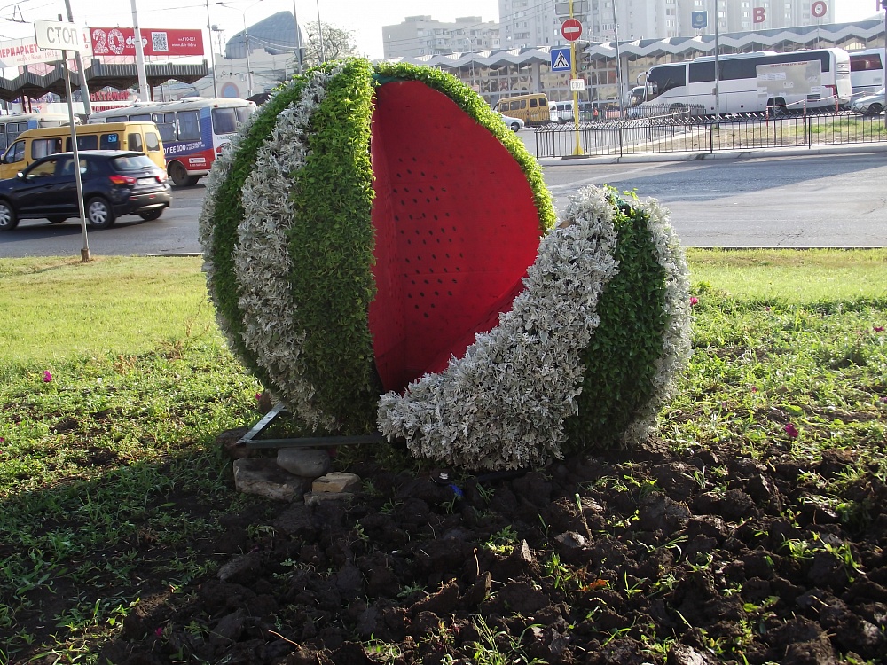 В Астрахани появился еще один объект вертикального озеленения: полутораметровый арбуз 