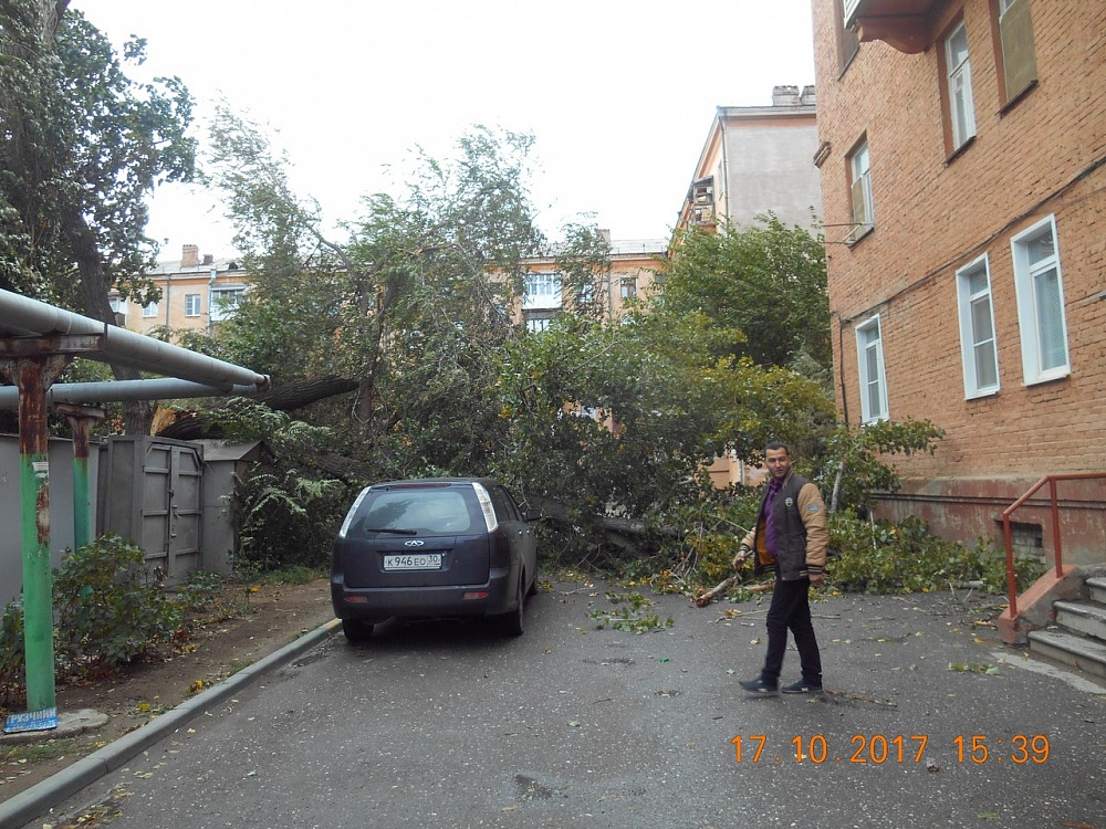 В Астрахани упало большое дерево, перегородив проезд во дворе