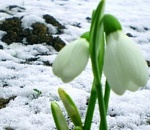 В последний день марта весна толком так и не объявится в Астрахани