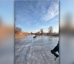 Рыбаки показали, как спасали лошадь в Астраханской области