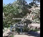 Массивный ствол дерева упал на детскую площадку в Астрахани