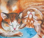 Астраханцы получат "Букет котов"