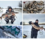 Клёвые места: зимняя рыбалка в Астраханской области