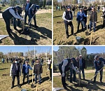 Эталон цинизма. Пандемический субботник прикрыли «акцией в память о погибших в войне»