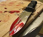 И перо за это получай: в Астрахани школьница ударила ножом лучшую подругу