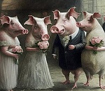 Астраханские свадьбы выливаются в свинство