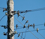 Астраханец задел высоковольтный столб и умер