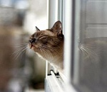 Завтра в Астрахани, несмотря на ветер, тепло