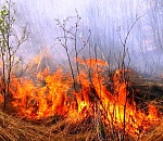 МЧС предупреждает: на юге Астраханской области сохраняется пожароопасность 5-го класса