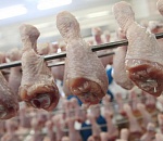 Иран может начать поставки куриного мяса в Астраханскую область