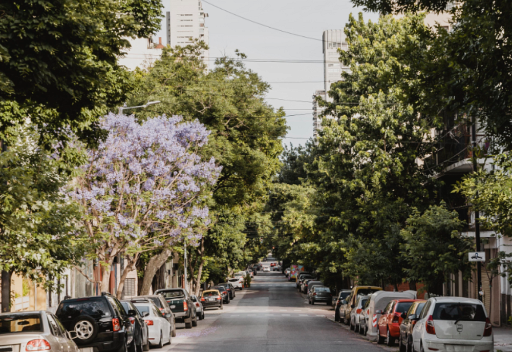 Новые улицы появились в Астрахани