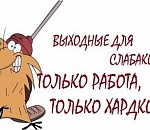 Почти вся Астраханская область не воспользовалась "путинскими" выходными