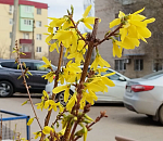 Завтра в Астрахани тепло и без дождя