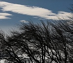 Синоптики обещают астраханцам ветреную, но не холодную пятницу