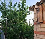 Астраханца будут судить за гибель ребенка от удара током