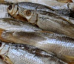 Астрахань попала в пятерку туристических городов благодаря вобле