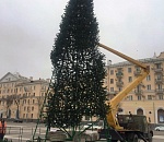 В Астрахани устанавливают новогодние елки