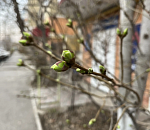 Порывистый ветер ворвется завтра в Астраханскую область 