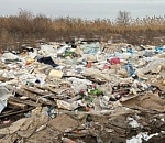 За прошлый год Росприроднадзор обнаружил в Астраханской области 65 несанкционированных свалок