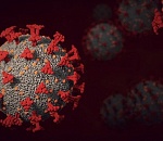 Больше 150 астраханцев заразились коронавирусом за сутки