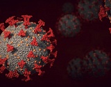 Больше 150 астраханцев заразились коронавирусом за сутки