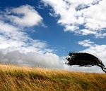 Завтра в Астраханской области ветер может набрать мощь бури