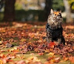 Завтра в Астрахани еще будет тепло