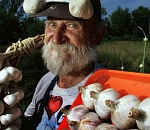 Не дельный обзор. Экспертов у нас хватает. Чеснока тоже