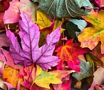 Какие сюрпризы преподнесет погода в Астрахани завтра