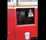 Собака-предсказатель завелась в астраханском МЧС