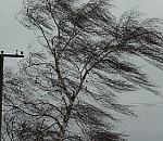 В Астрахани прогнозируется усиление ветра