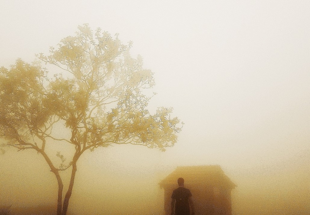 Закройте форточку: Астрахань и область накрывает гарь