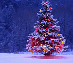 Опрос: где поставить главную городскую новогоднюю ёлку?