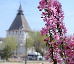 В Астрахань идет резкое и сильное потепление
