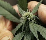 Под Астраханью полиция задержала мужчину с килограммом наркотиков