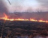 Из-за камышового пожара в Астрахани запах гари может распространиться над облцентром и двумя районами
