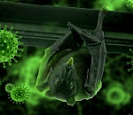 За минувшие сутки еще у 31 человека в Астраханской области выявлен коронавирус