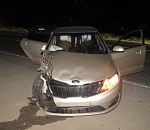 Под Астраханью корова стала причиной лобового столкновения иномарок