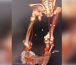 Астраханские медики спасли бойца СВО пострадавшего после атаки дрона