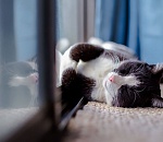 В Астрахани температура воздуха уверенно перевалила за 30 градусов