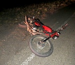 Под Астраханью школьник на мотоцикле сбил теленка: юноша в больнице