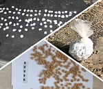 В Астрахани группа драгдилеров распространяла героин