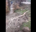 Великий потоп случился в астраханском селе