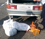 Житель Калмыкии увозил из Астрахани 57 килограмм «рыбного сувенира»